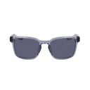 Nike Livefree Iconic N
